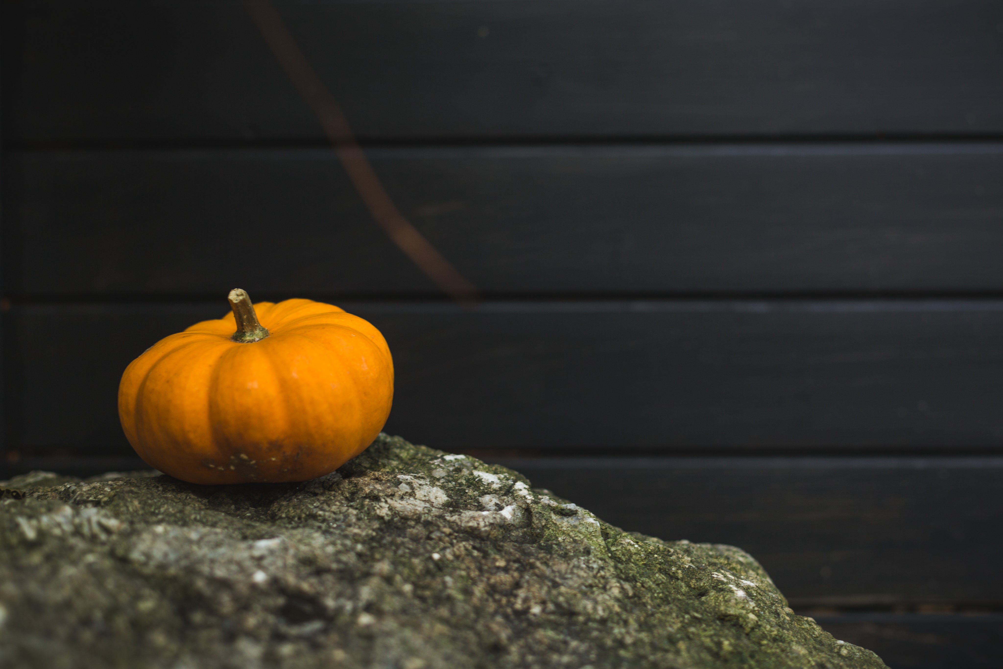 Pumpkin Spice Candle is Back
